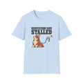 Negotiations Have Stalled T-Shirt