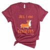 corgeous corgi t-shirt corgis paradise apparel accessories