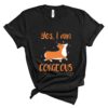 corgeous corgi t-shirt corgis paradise apparel accessories