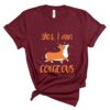 corgeous corgi t-shirt corgis paradise apparel accessories