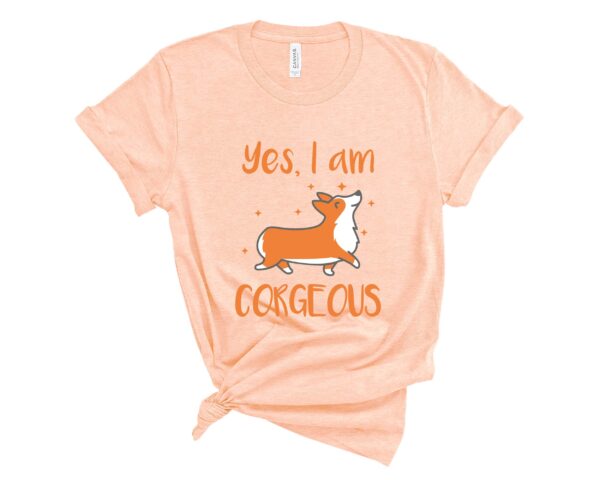 corgeous corgi t-shirt corgis paradise apparel accessories