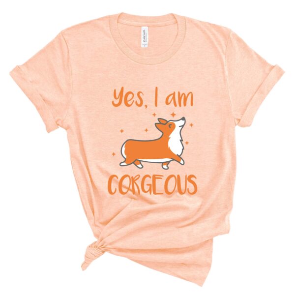 corgeous corgi t-shirt corgis paradise apparel accessories